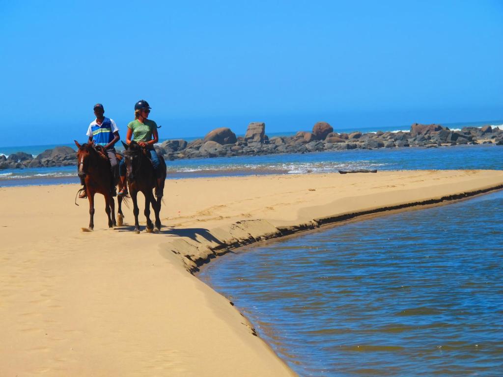 Amapondo Backpacker Lodge Port Saint Johnʼs المظهر الخارجي الصورة